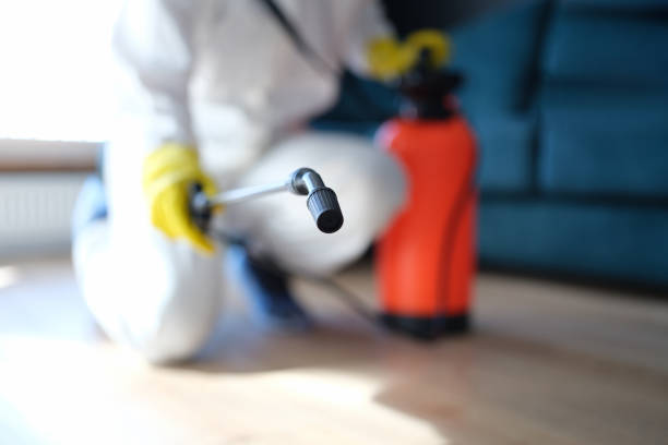 Mold Remediation for Vacation Homes in Goose Creek, SC